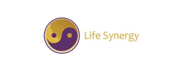 Life Synergy Retreat