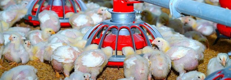 Asian Poultry Tech India Pvt Ltd